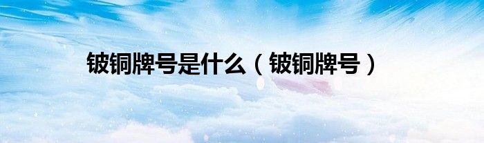 铍铜牌号是什么（铍铜牌号）