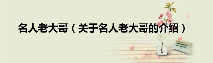名人老大哥（关于名人老大哥的介绍）