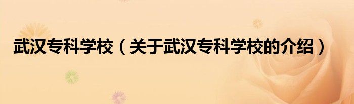 武汉专科学校（关于武汉专科学校的介绍）