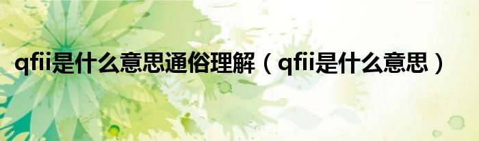 qfii是什么意思通俗理解（qfii是什么意思）