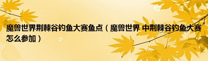 魔兽世界荆棘谷钓鱼大赛鱼点（魔兽世界 中荆棘谷钓鱼大赛怎么参加）