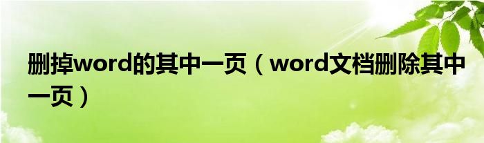 删掉word的其中一页（word文档删除其中一页）