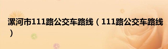 漯河市111路公交车路线（111路公交车路线）