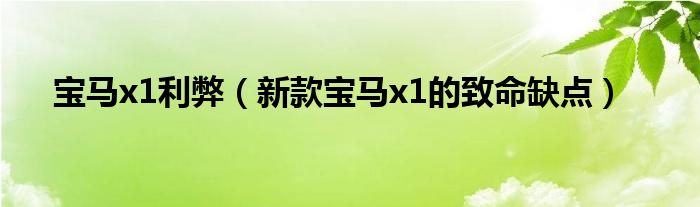 宝马x1利弊（新款宝马x1的致命缺点）