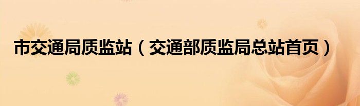 市交通局质监站（交通部质监局总站首页）