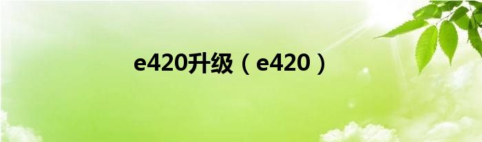 e420升级（e420）