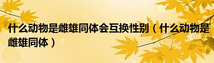 什么动物是雌雄同体会互换性别（什么动物是雌雄同体）