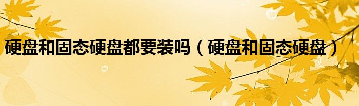 硬盘和固态硬盘都要装吗（硬盘和固态硬盘）